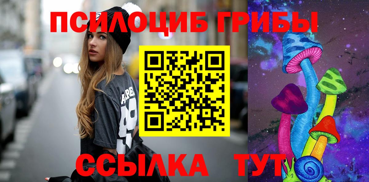 Новый Уренгой  Псилоцибиновые грибы мицелий  Псилоцибиновые грибы MAGIC MUSHROOMS  Вход с VPN 